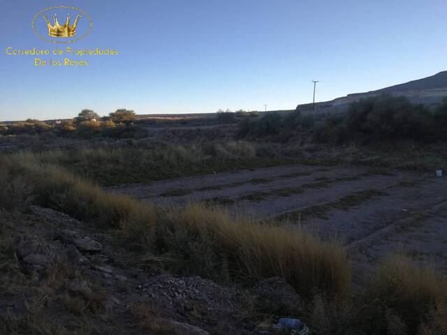 #583 - Agricola para Venta en Calama - II - 3