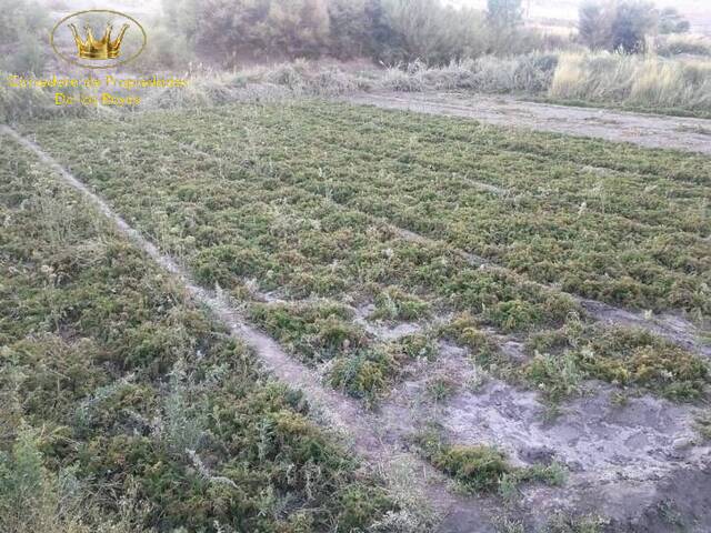 #583 - Agricola para Venta en Calama - II - 1