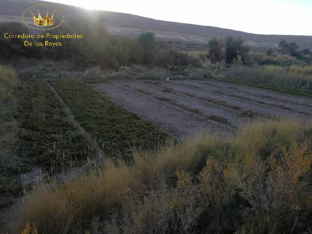 #583 - Agricola para Venta en Calama - II - 2