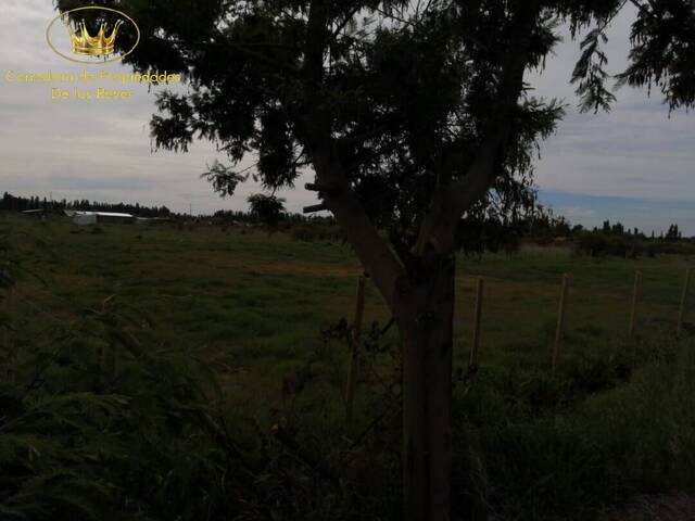 Terreno para construcción para Venta en Bulnes - 5