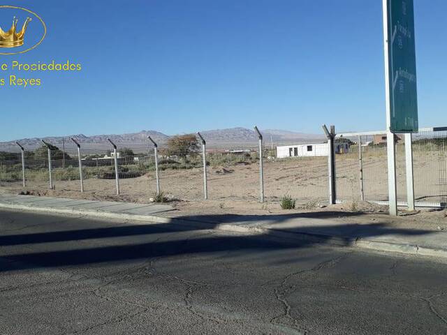 #924 - Agricola para Venta en Calama - II - 1