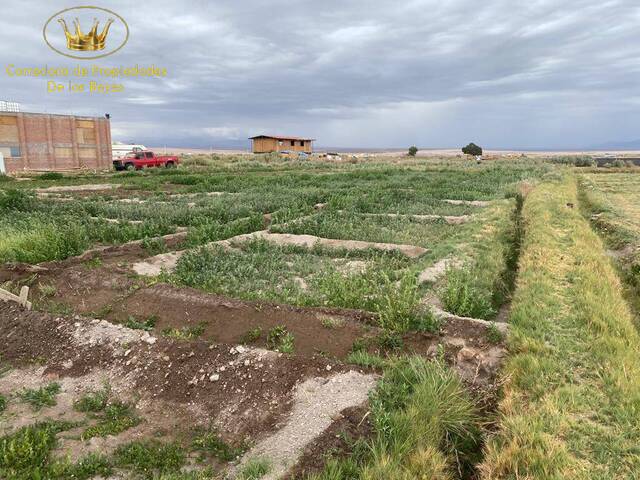 #1043 - Agricola para Venta en Calama - II - 2