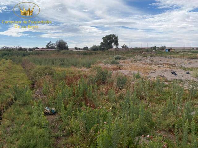 #1043 - Agricola para Venta en Calama - II - 3