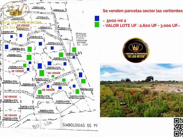 #1042 - Agricola para Venta en Calama - II