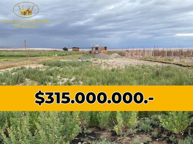 #1043 - Agricola para Venta en Calama - II - 1