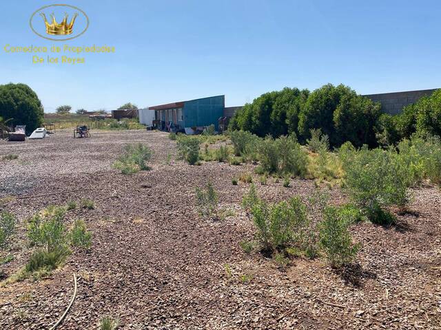 #1069 - Agricola para Venta en Calama - II - 2