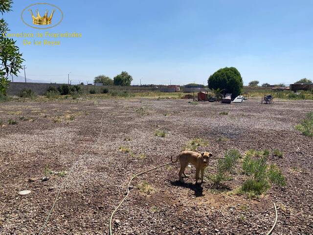 #1069 - Agricola para Venta en Calama - II - 3