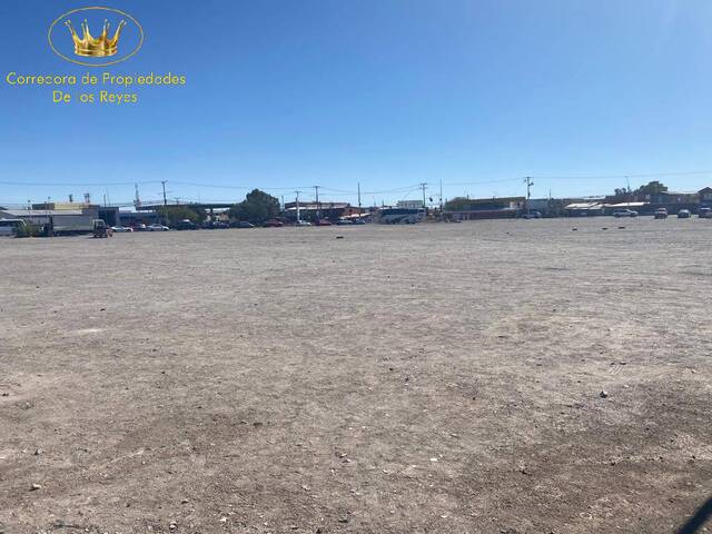 #1215 - Agricola para Arriendo en Calama - II