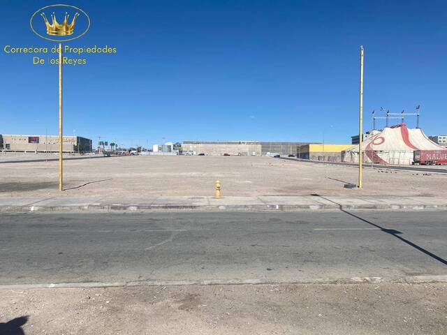 #1215 - Agricola para Arriendo en Calama - II