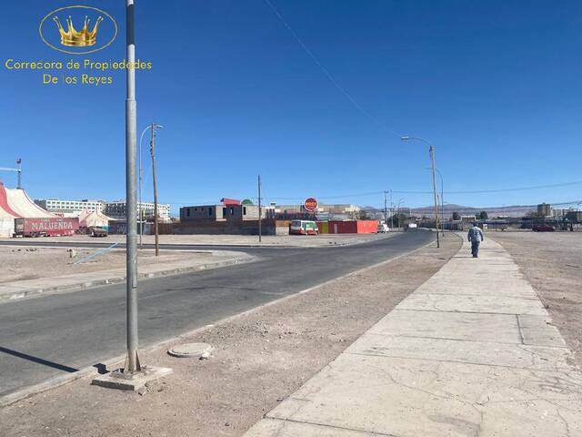 #1215 - Agricola para Arriendo en Calama - II