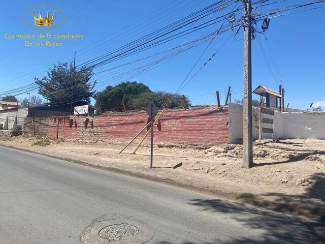 #1333 - Agricola para Venta en Calama - II - 1