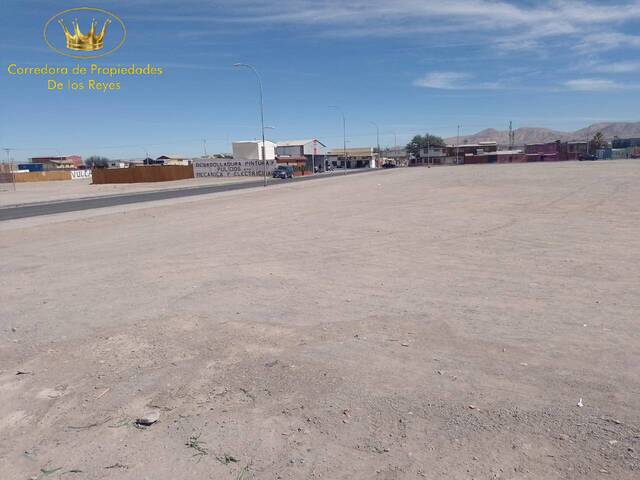 #1369 - Agricola para Venta en Calama - II - 2