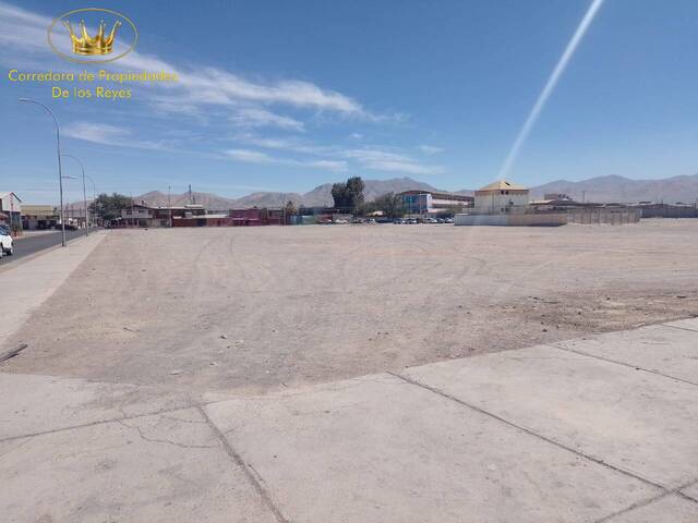 #1369 - Agricola para Venta en Calama - II - 3