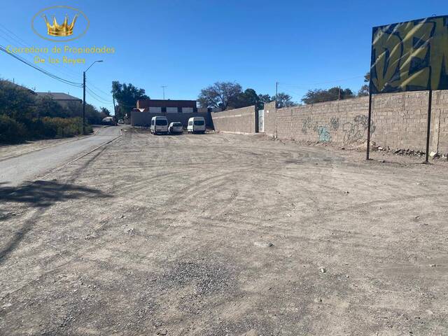 #1411 - Agricola para Venta en Calama - II - 1