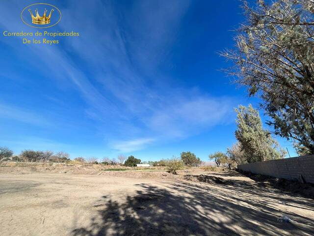 #1502 - Agricola para Venta en Calama - II - 2