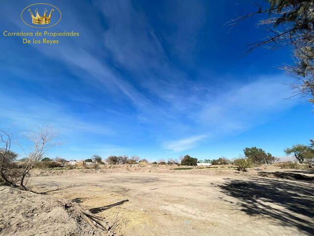 #1502 - Agricola para Venta en Calama - II - 1