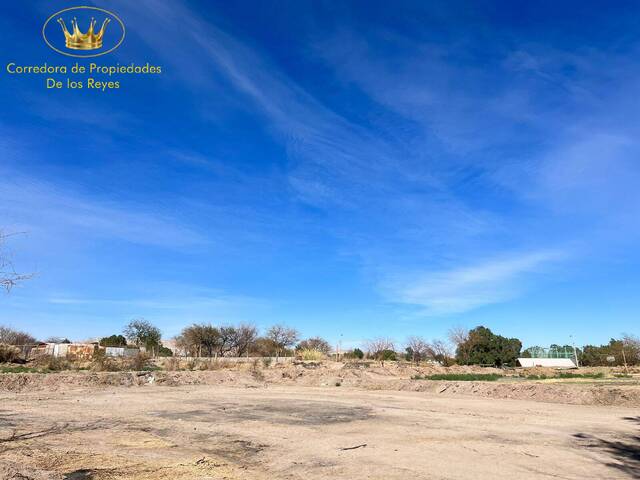 #1502 - Agricola para Venta en Calama - II - 3