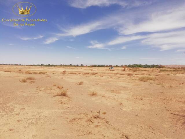 #1524 - Agricola para Venta en San Pedro de Atacama - II