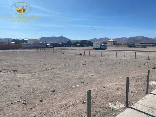 #1534 - Agricola para Venta en Calama - II - 3