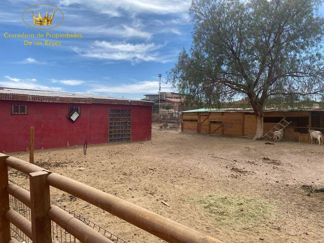 #1626 - Casa para Venta en Calama - II