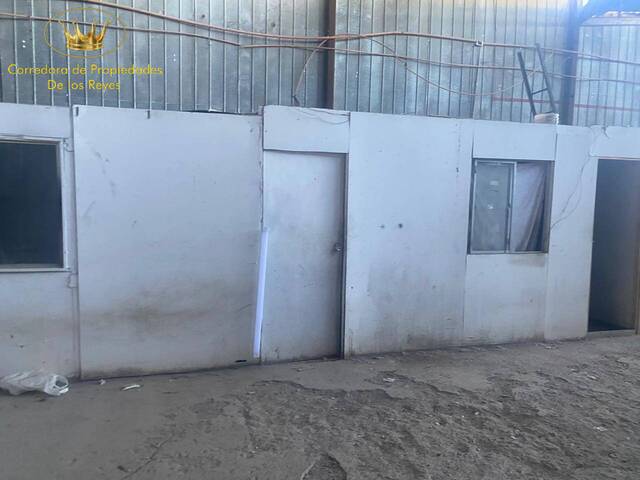 Bodega para Arriendo en Calama - 4