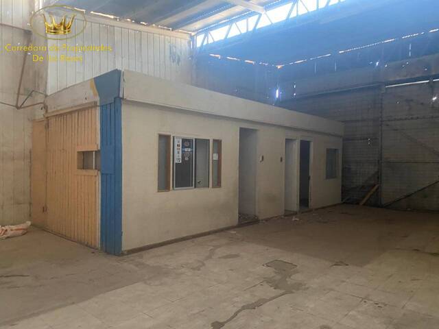 Bodega para Arriendo en Calama - 5