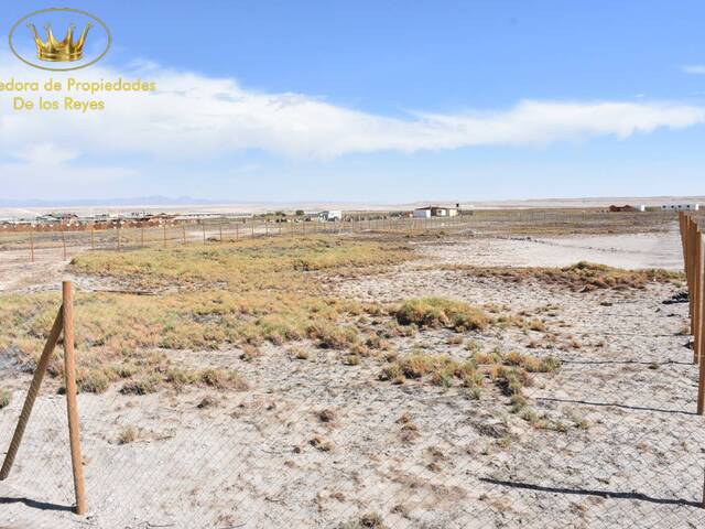 #1877 - Parcela para Venta en Calama - II - 2