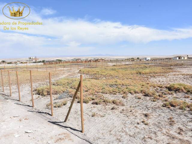 #1877 - Parcela para Venta en Calama - II - 3