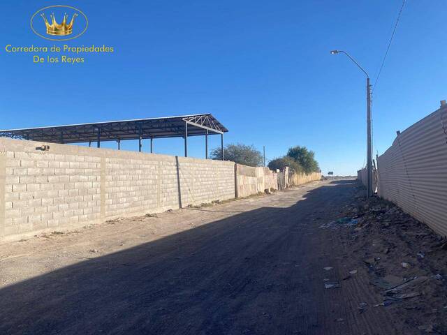 #1901 - Terreno para Arriendo en Calama - II - 1
