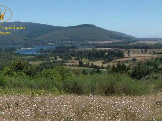 #1943 - Casa para Venta en Cañete - VIII - 3