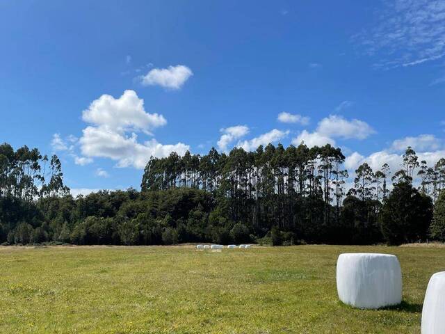 #1944 - Parcela para Venta en Maullín - X - 3
