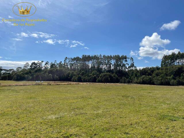 #1944 - Parcela para Venta en Maullín - X - 2