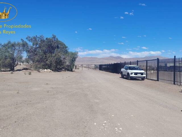 para en - 3