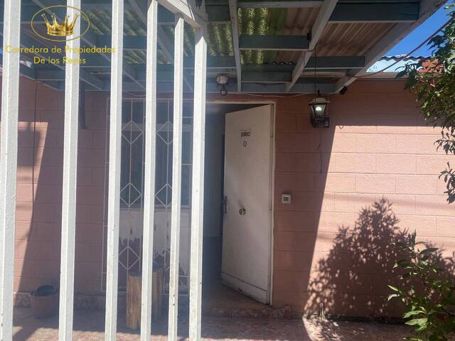 Casa para Arriendo en Calama - 4