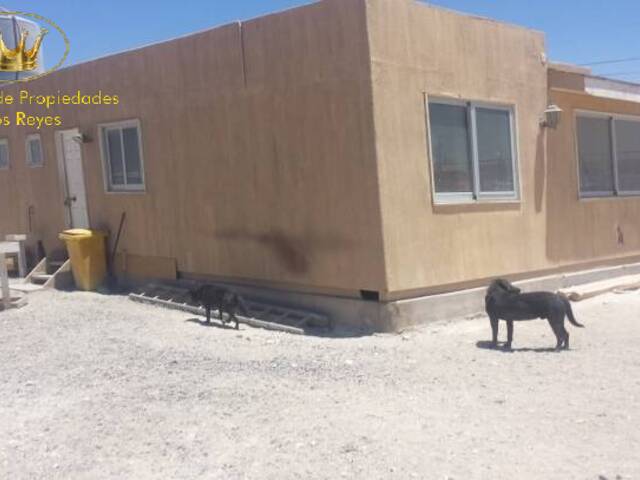 #176 - Terreno para Arriendo en Calama - II