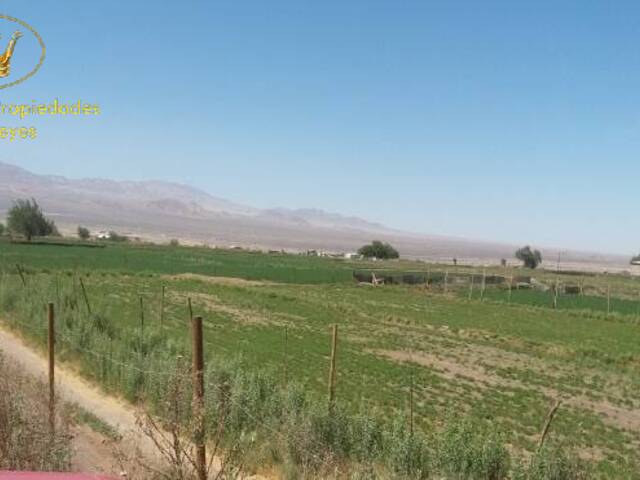 #270 - Terreno Agricola para Venta en Calama - II - 2