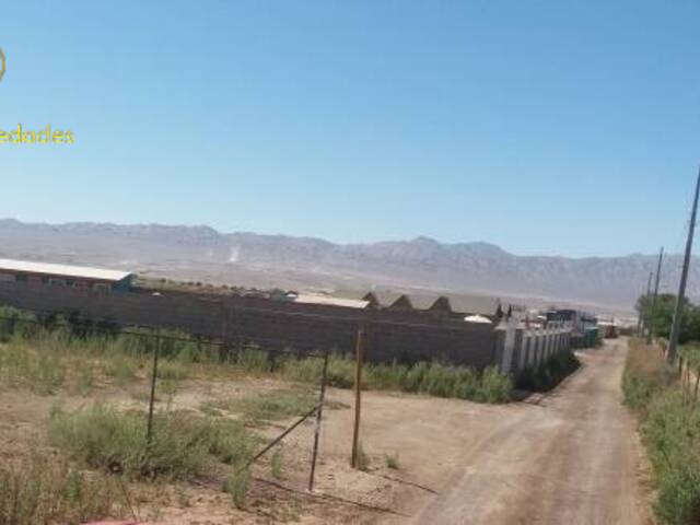 #270 - Terreno Agricola para Venta en Calama - II - 3