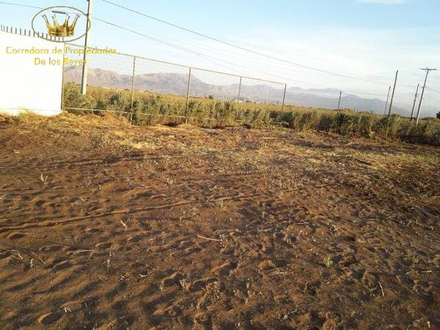 #280 - Terreno para Venta en Calama - II - 3