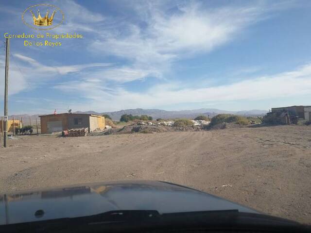 #303 - Terreno Agricola para Venta en Calama - II - 3